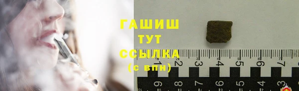 гидра Арсеньев