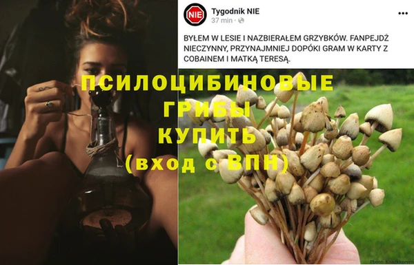 гидра Арсеньев