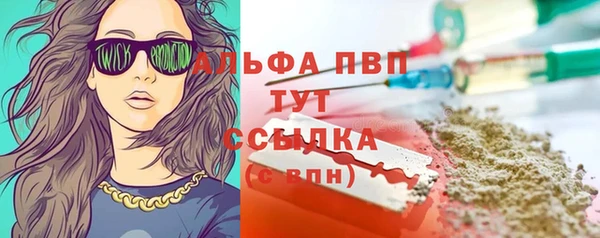 прущие грибы Армянск