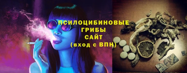 прущие грибы Армянск