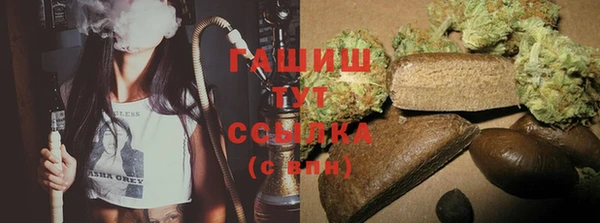 гидра Арсеньев
