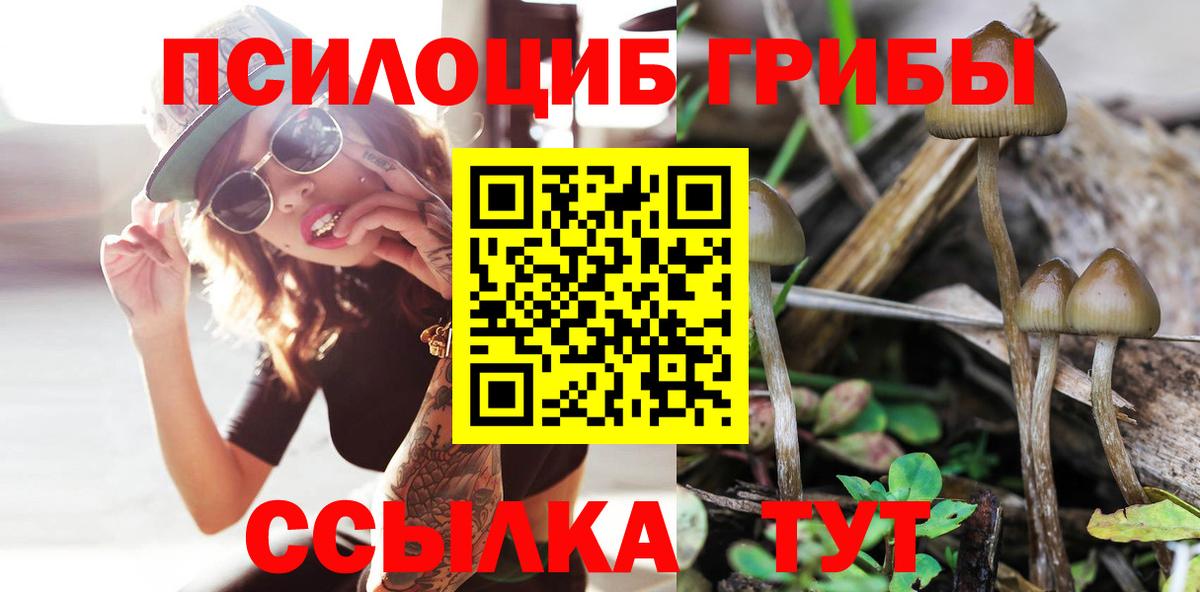 хочу наркоту  Вход с VPN  Новодвинск  Галлюциногенные грибы прущие грибы 