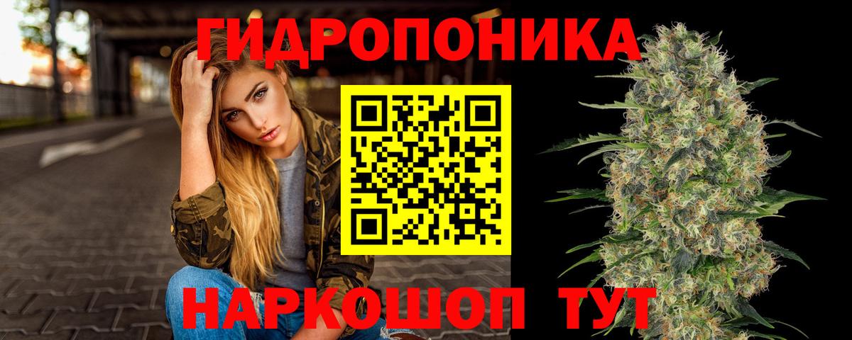 Марихуана VHQ  Вход с VPN  Каннабис LSD WEED  Новодвинск 